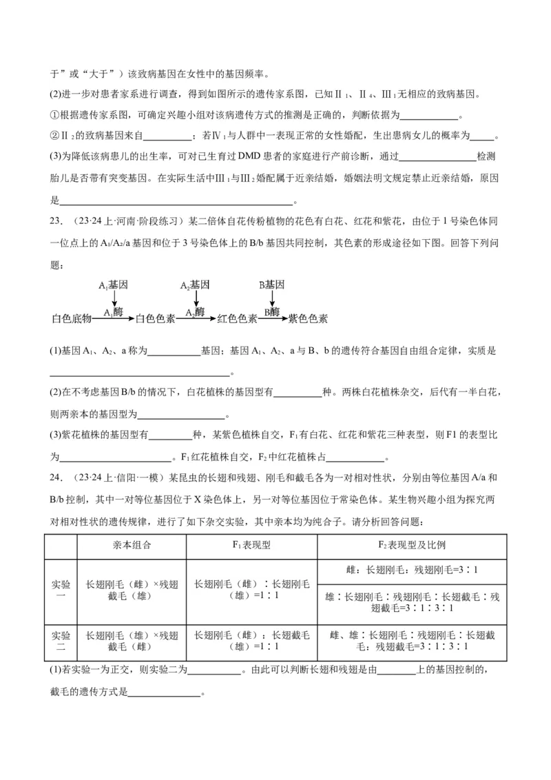 专题04遗传的基本规律和人类遗传病（讲义）（原卷版）_新高考复习资料_2024年新高考复习资料_二轮复习资料_讲义