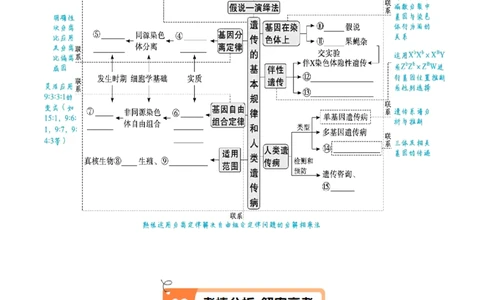 专题04遗传的基本规律和人类遗传病（讲义）（原卷版）_新高考复习资料_2024年新高考复习资料_二轮复习资料_讲义