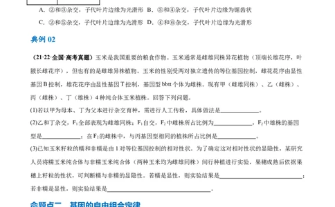 专题04遗传的基本规律和人类遗传病（讲义）（原卷版）_新高考复习资料_2024年新高考复习资料_二轮复习资料_讲义