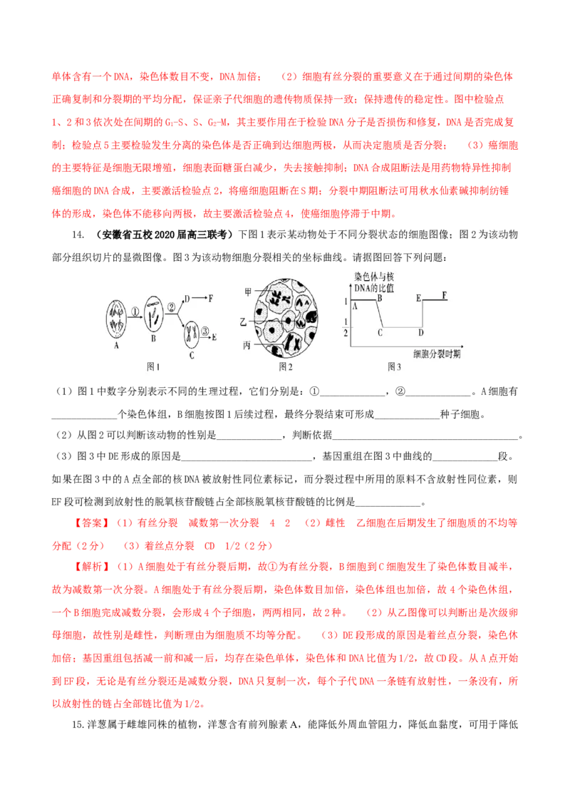 专题03有丝分裂与减数分裂的综合-备战2021年高考生物核心考点透析（解析版）_新高考复习资料_2021年新高考资料_备战2021年高考生物核心考点透析