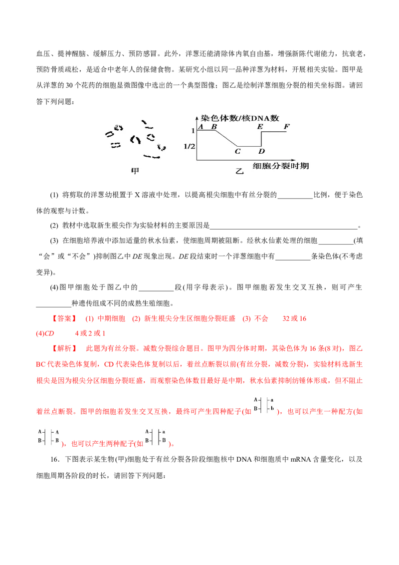 专题03有丝分裂与减数分裂的综合-备战2021年高考生物核心考点透析（解析版）_新高考复习资料_2021年新高考资料_备战2021年高考生物核心考点透析