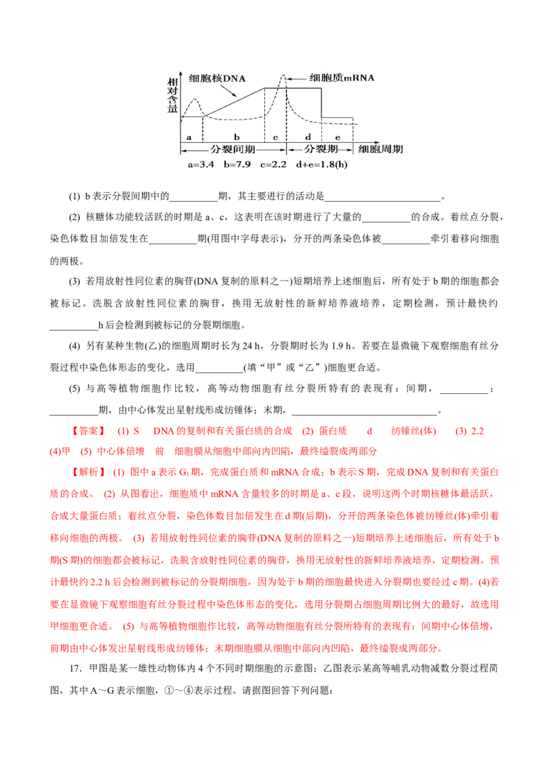 专题03有丝分裂与减数分裂的综合-备战2021年高考生物核心考点透析（解析版）_新高考复习资料_2021年新高考资料_备战2021年高考生物核心考点透析