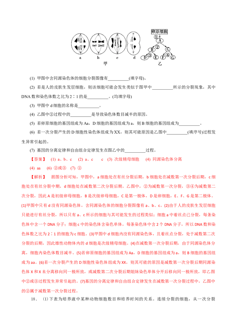 专题03有丝分裂与减数分裂的综合-备战2021年高考生物核心考点透析（解析版）_新高考复习资料_2021年新高考资料_备战2021年高考生物核心考点透析
