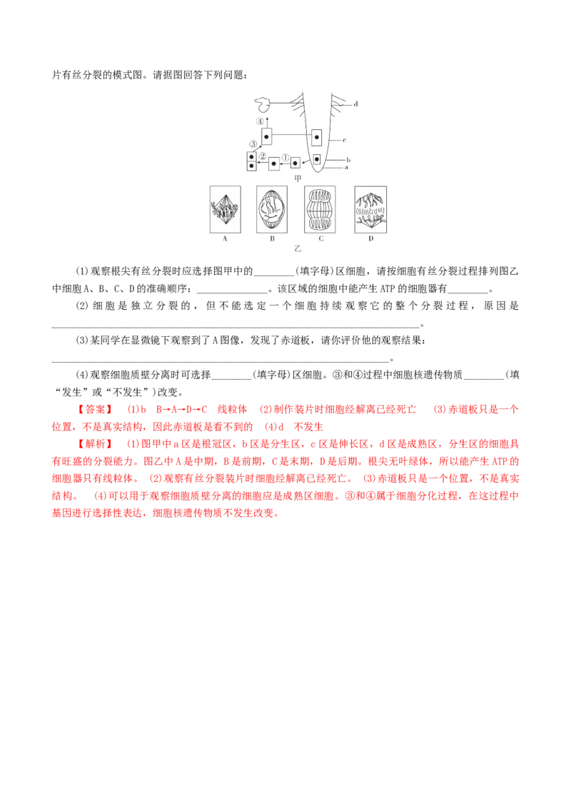 专题03有丝分裂与减数分裂的综合-备战2021年高考生物核心考点透析（解析版）_新高考复习资料_2021年新高考资料_备战2021年高考生物核心考点透析