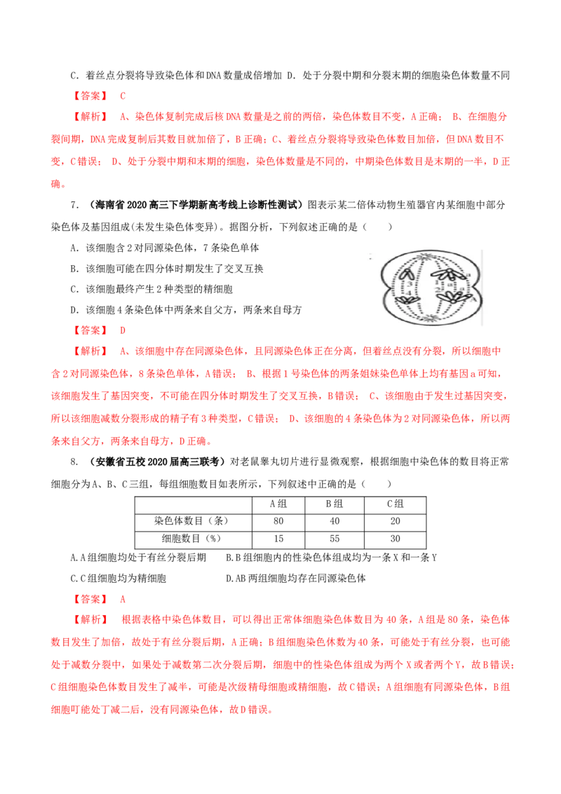 专题03有丝分裂与减数分裂的综合-备战2021年高考生物核心考点透析（解析版）_新高考复习资料_2021年新高考资料_备战2021年高考生物核心考点透析