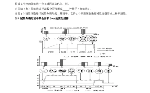 专题03有丝分裂与减数分裂的综合-备战2021年高考生物核心考点透析（解析版）_新高考复习资料_2021年新高考资料_备战2021年高考生物核心考点透析