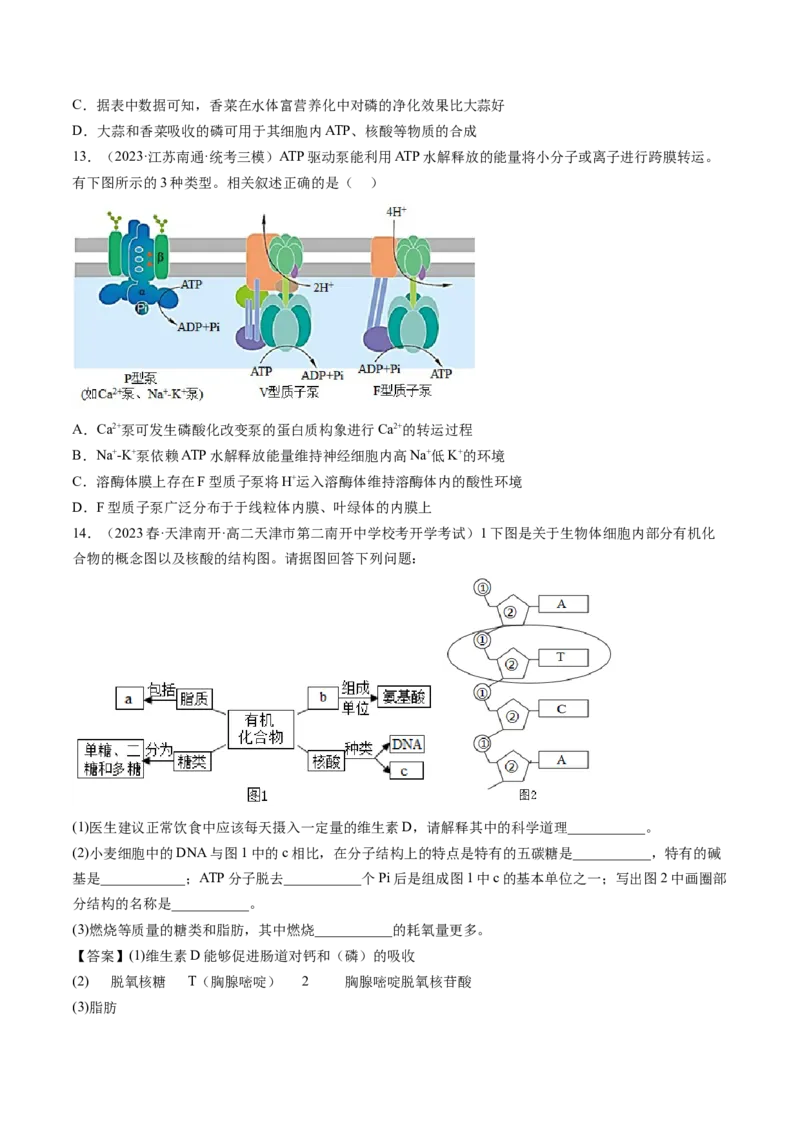 第8.2讲ATP（练习）（原卷版）_2024年新高考资料_1.2024一轮复习_2024年高考生物一轮复习讲练测（新教材新高考）_第8.2讲+ATP（练习）-2024年高考生物一轮复习讲练测（新教材新高考）