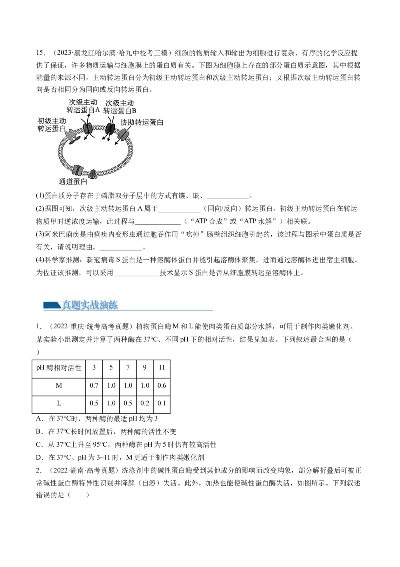 第8.2讲ATP（练习）（原卷版）_2024年新高考资料_1.2024一轮复习_2024年高考生物一轮复习讲练测（新教材新高考）_第8.2讲+ATP（练习）-2024年高考生物一轮复习讲练测（新教材新高考）