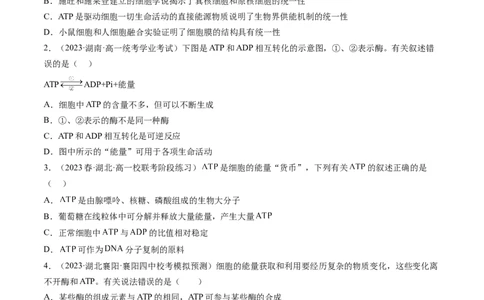 第8.2讲ATP（练习）（原卷版）_2024年新高考资料_1.2024一轮复习_2024年高考生物一轮复习讲练测（新教材新高考）_第8.2讲+ATP（练习）-2024年高考生物一轮复习讲练测（新教材新高考）
