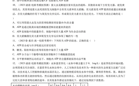 第8.2讲ATP（练习）（原卷版）_2024年新高考资料_1.2024一轮复习_2024年高考生物一轮复习讲练测（新教材新高考）_第8.2讲+ATP（练习）-2024年高考生物一轮复习讲练测（新教材新高考）