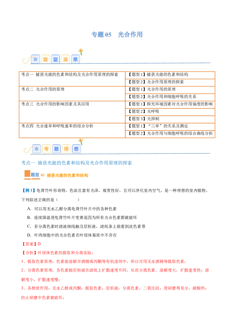 专题05光合作用（9大题型）（解析版）_2025年新高考资料_一轮复习_备战2025年高考生物一轮复习题型全覆盖（新高考通用）