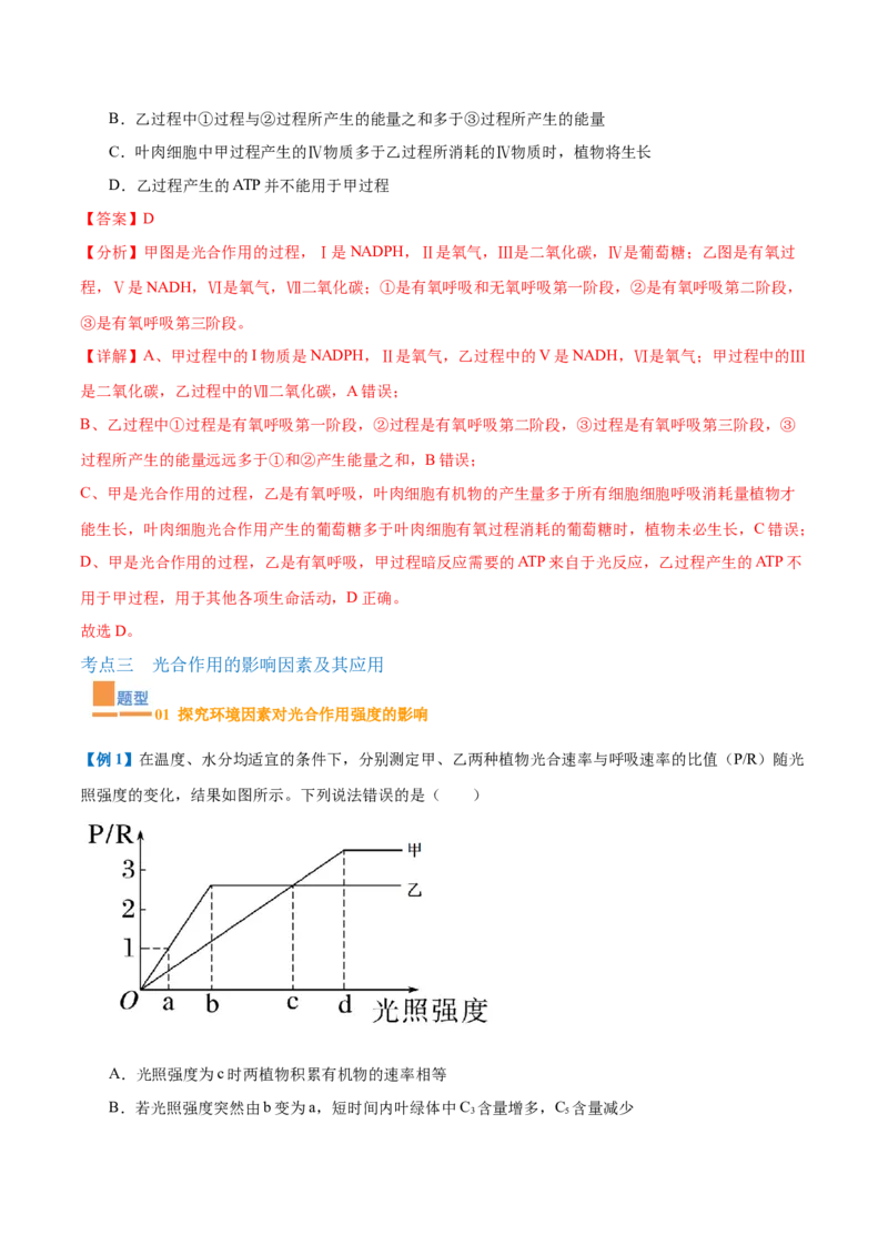 专题05光合作用（9大题型）（解析版）_2025年新高考资料_一轮复习_备战2025年高考生物一轮复习题型全覆盖（新高考通用）