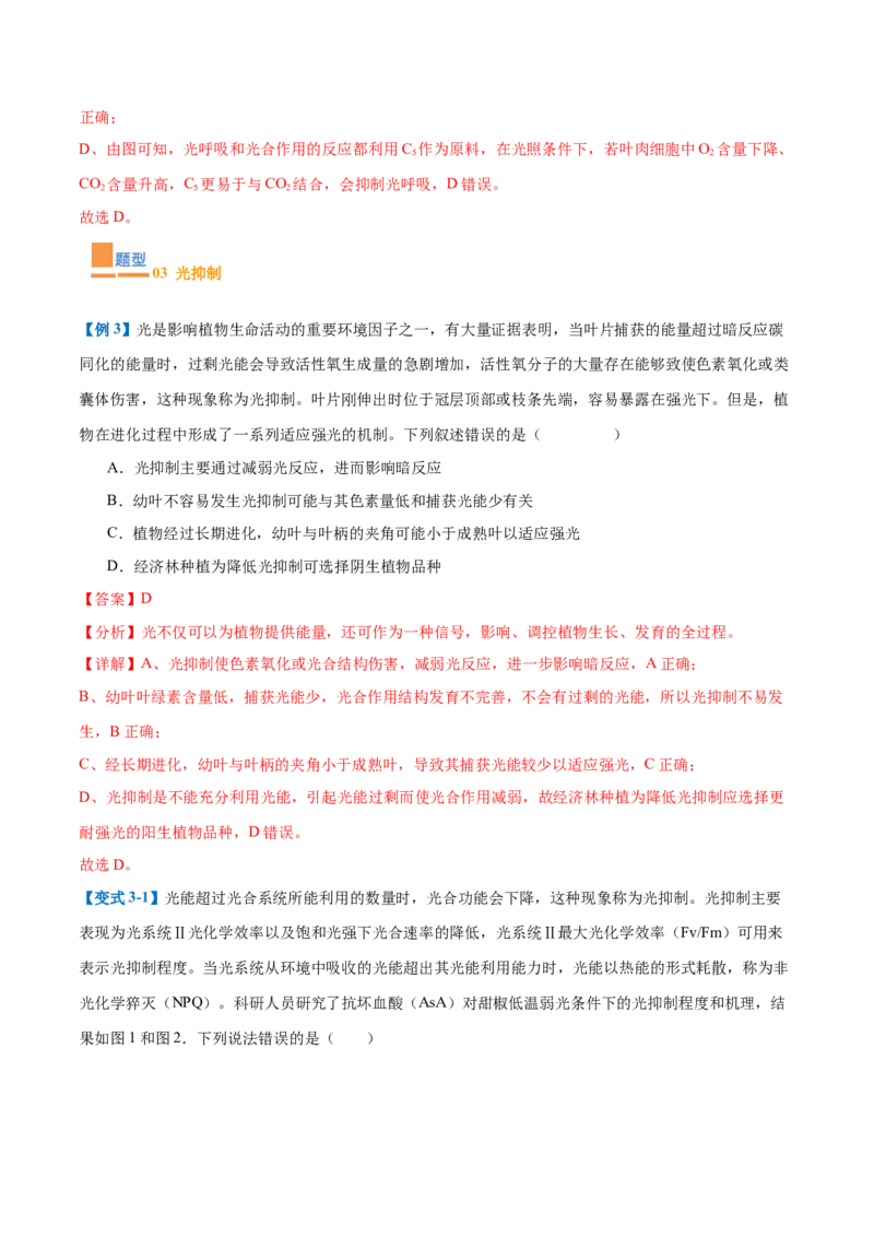 专题05光合作用（9大题型）（解析版）_2025年新高考资料_一轮复习_备战2025年高考生物一轮复习题型全覆盖（新高考通用）