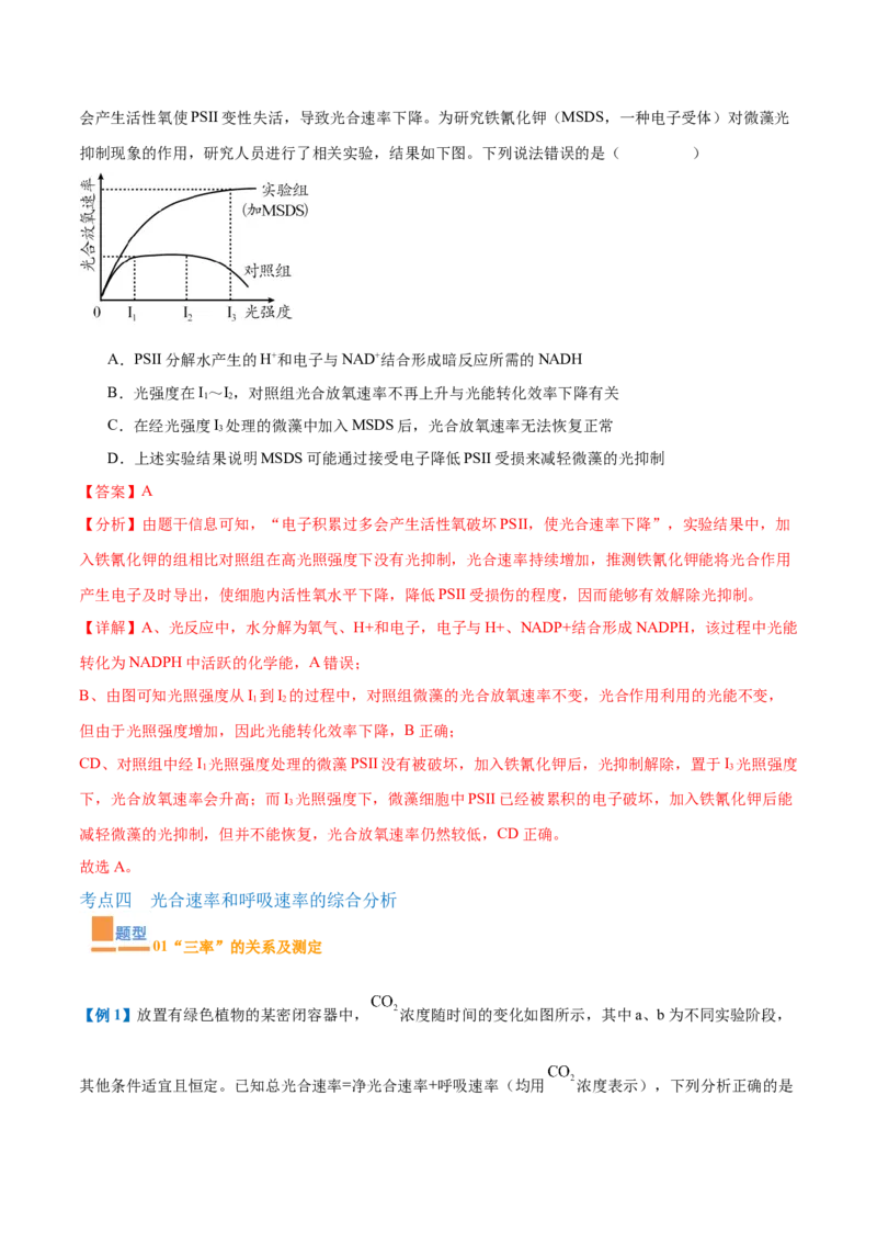 专题05光合作用（9大题型）（解析版）_2025年新高考资料_一轮复习_备战2025年高考生物一轮复习题型全覆盖（新高考通用）