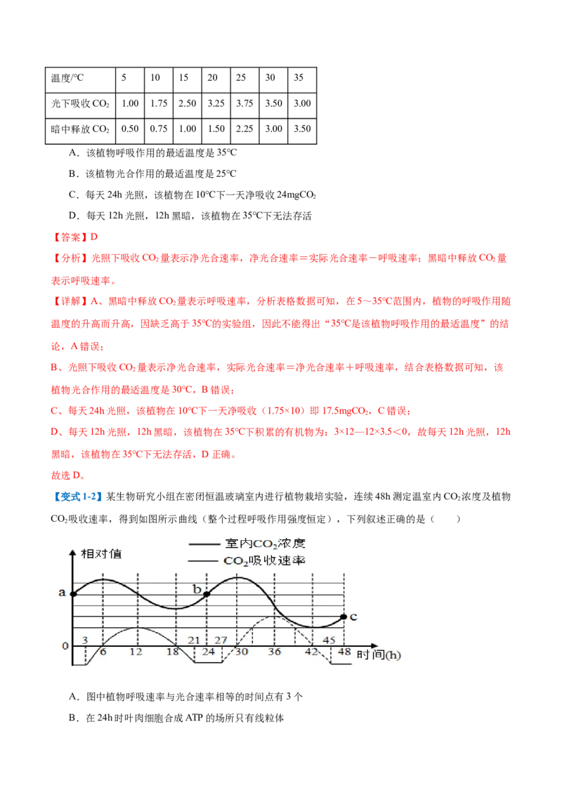 专题05光合作用（9大题型）（解析版）_2025年新高考资料_一轮复习_备战2025年高考生物一轮复习题型全覆盖（新高考通用）