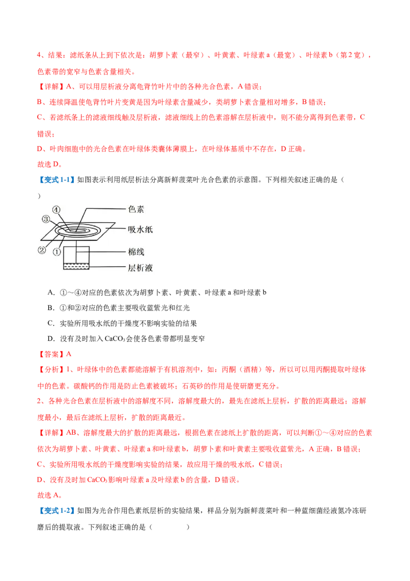 专题05光合作用（9大题型）（解析版）_2025年新高考资料_一轮复习_备战2025年高考生物一轮复习题型全覆盖（新高考通用）