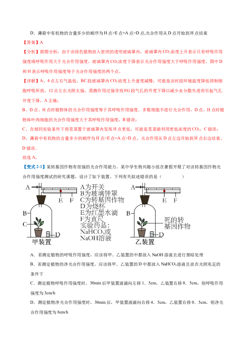 专题05光合作用（9大题型）（解析版）_2025年新高考资料_一轮复习_备战2025年高考生物一轮复习题型全覆盖（新高考通用）