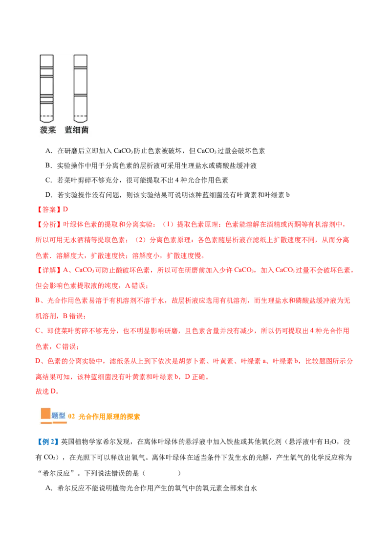 专题05光合作用（9大题型）（解析版）_2025年新高考资料_一轮复习_备战2025年高考生物一轮复习题型全覆盖（新高考通用）