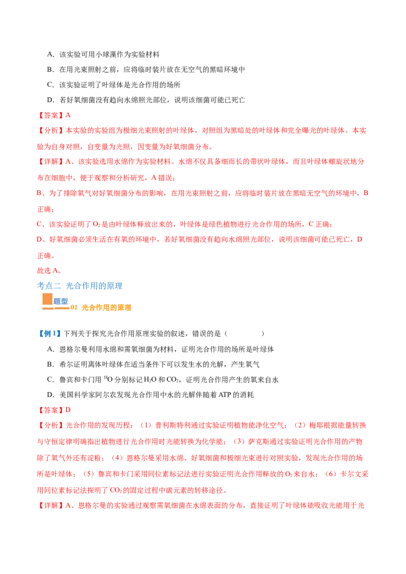 专题05光合作用（9大题型）（解析版）_2025年新高考资料_一轮复习_备战2025年高考生物一轮复习题型全覆盖（新高考通用）