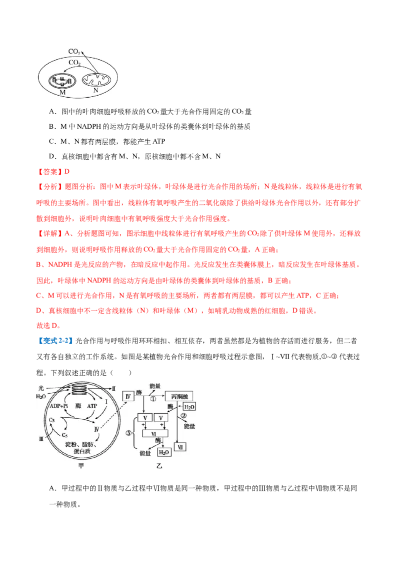 专题05光合作用（9大题型）（解析版）_2025年新高考资料_一轮复习_备战2025年高考生物一轮复习题型全覆盖（新高考通用）