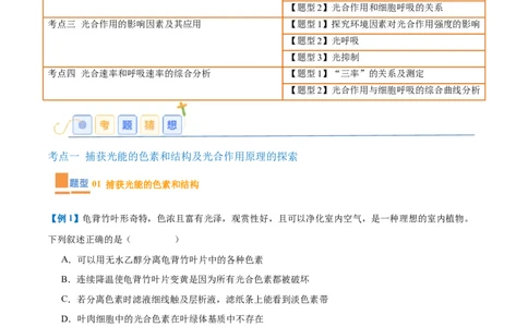 专题05光合作用（9大题型）（解析版）_2025年新高考资料_一轮复习_备战2025年高考生物一轮复习题型全覆盖（新高考通用）