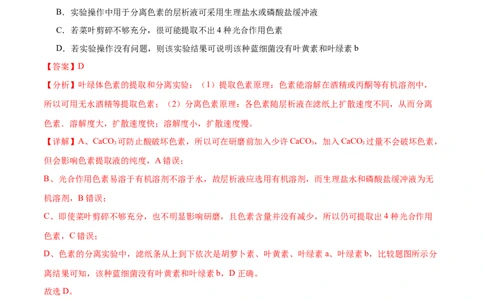 专题05光合作用（9大题型）（解析版）_2025年新高考资料_一轮复习_备战2025年高考生物一轮复习题型全覆盖（新高考通用）