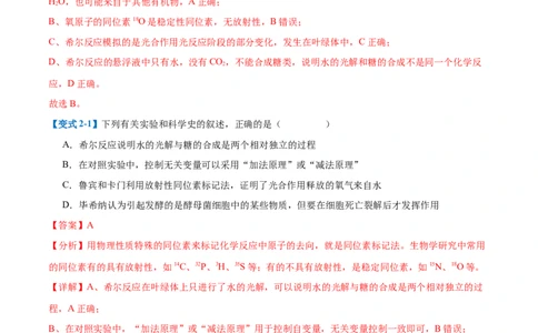 专题05光合作用（9大题型）（解析版）_2025年新高考资料_一轮复习_备战2025年高考生物一轮复习题型全覆盖（新高考通用）