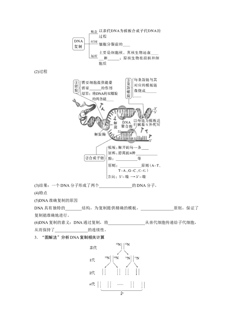 第6单元　第2课时　DNA的结构与复制_2024年新高考资料_1.2024一轮复习_2024年高考生物一轮复习讲义（新人教版）_学生版在此文件夹_大一轮复习讲义_第六单元　遗传的物质基础