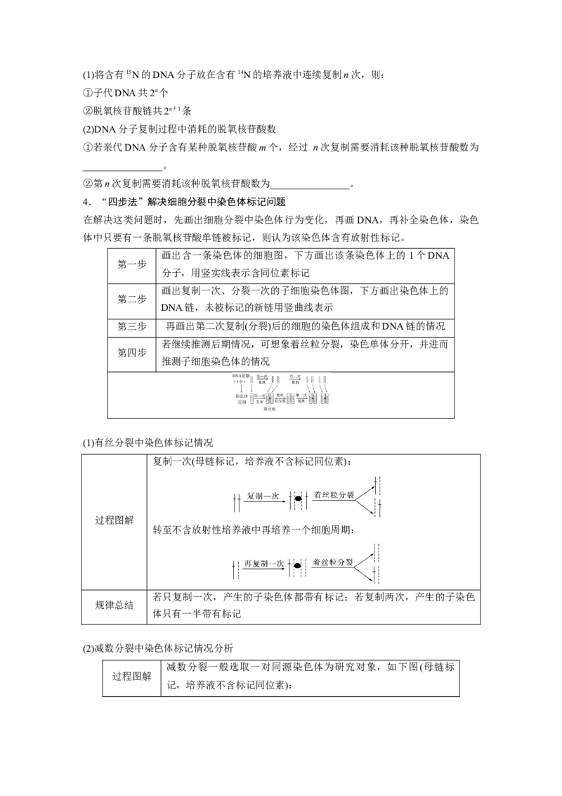 第6单元　第2课时　DNA的结构与复制_2024年新高考资料_1.2024一轮复习_2024年高考生物一轮复习讲义（新人教版）_学生版在此文件夹_大一轮复习讲义_第六单元　遗传的物质基础