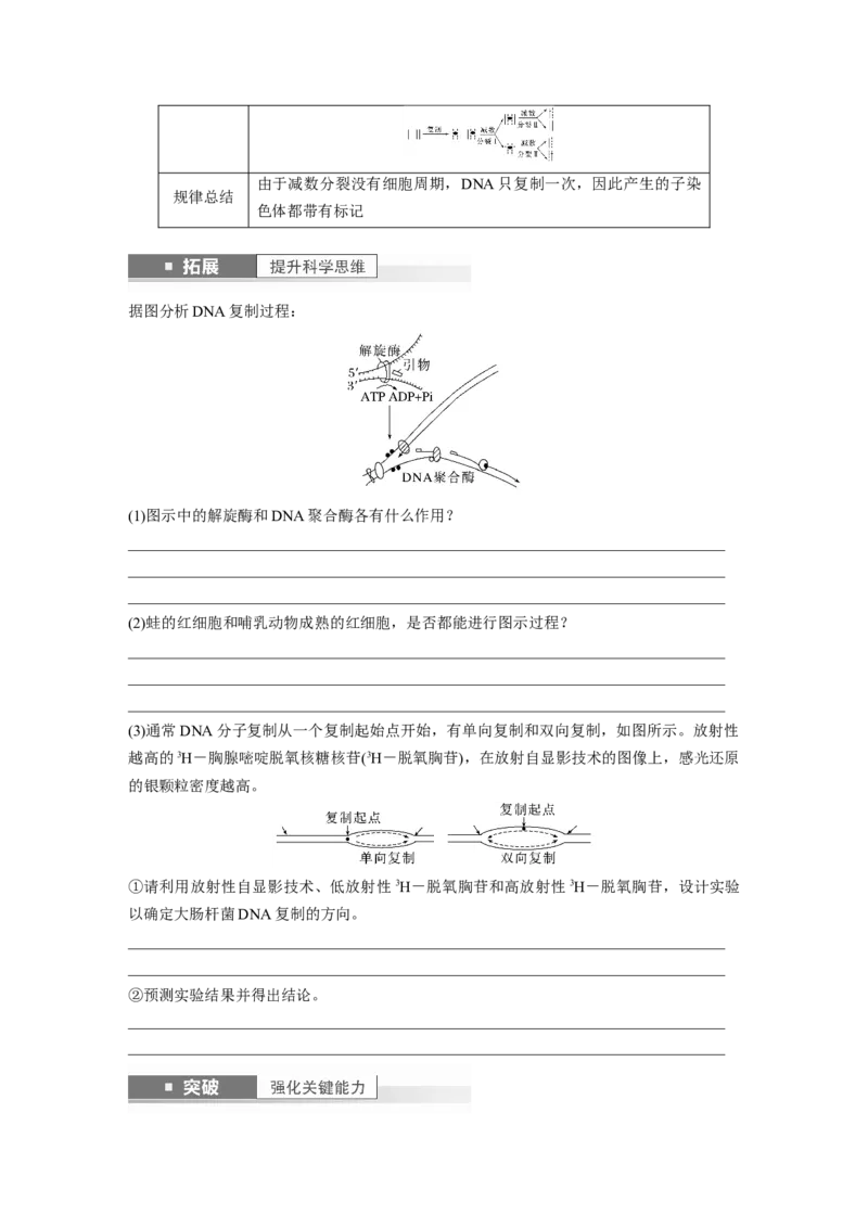 第6单元　第2课时　DNA的结构与复制_2024年新高考资料_1.2024一轮复习_2024年高考生物一轮复习讲义（新人教版）_学生版在此文件夹_大一轮复习讲义_第六单元　遗传的物质基础