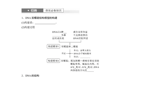 第6单元　第2课时　DNA的结构与复制_2024年新高考资料_1.2024一轮复习_2024年高考生物一轮复习讲义（新人教版）_学生版在此文件夹_大一轮复习讲义_第六单元　遗传的物质基础