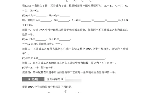 第6单元　第2课时　DNA的结构与复制_2024年新高考资料_1.2024一轮复习_2024年高考生物一轮复习讲义（新人教版）_学生版在此文件夹_大一轮复习讲义_第六单元　遗传的物质基础