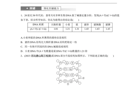 第6单元　第2课时　DNA的结构与复制_2024年新高考资料_1.2024一轮复习_2024年高考生物一轮复习讲义（新人教版）_学生版在此文件夹_大一轮复习讲义_第六单元　遗传的物质基础