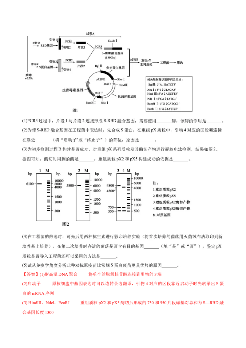 题型07实验设计类（生物技术与工程）（解析版）_2024年新高考资料_2.2024二轮复习_备战2024年高考生物实验专项突破3143686