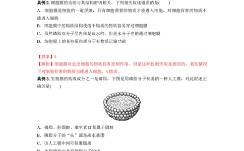 专题04细胞膜和细胞核（串讲）（解析版）_新高考复习资料_2024年新高考复习资料_一轮复习资料_完备战2024年高考生物一轮复习串讲精练（新高考专用）_串讲_解析版