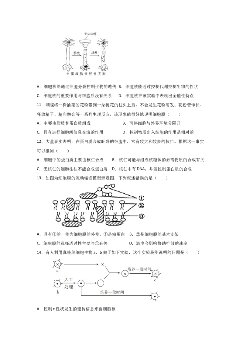 专题04细胞膜与细胞核(学生版)_新高考复习资料_2023年新高考复习资料_二轮复习_增分要点2023高考生物二轮复习专题解读和分层训练291073137