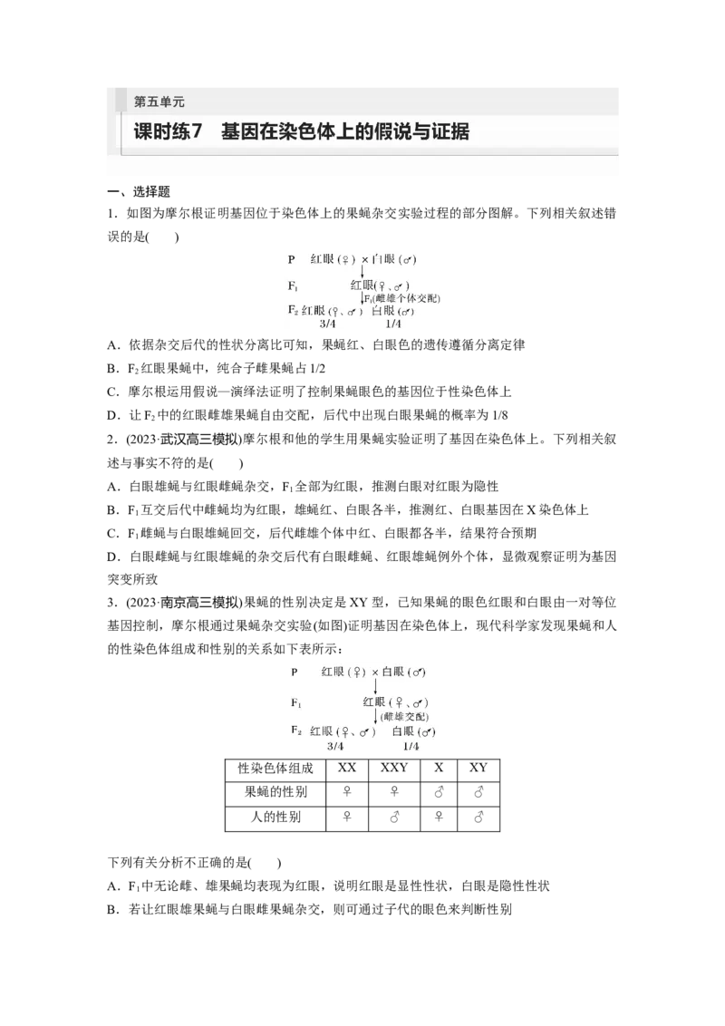 第5单元　课时练7　基因在染色体上的假说与证据_2024年新高考资料_1.2024一轮复习_2024年高考生物一轮复习讲义（新人教版）_学生版在此文件夹_一轮复习69练_第五单元　基因的传递规律