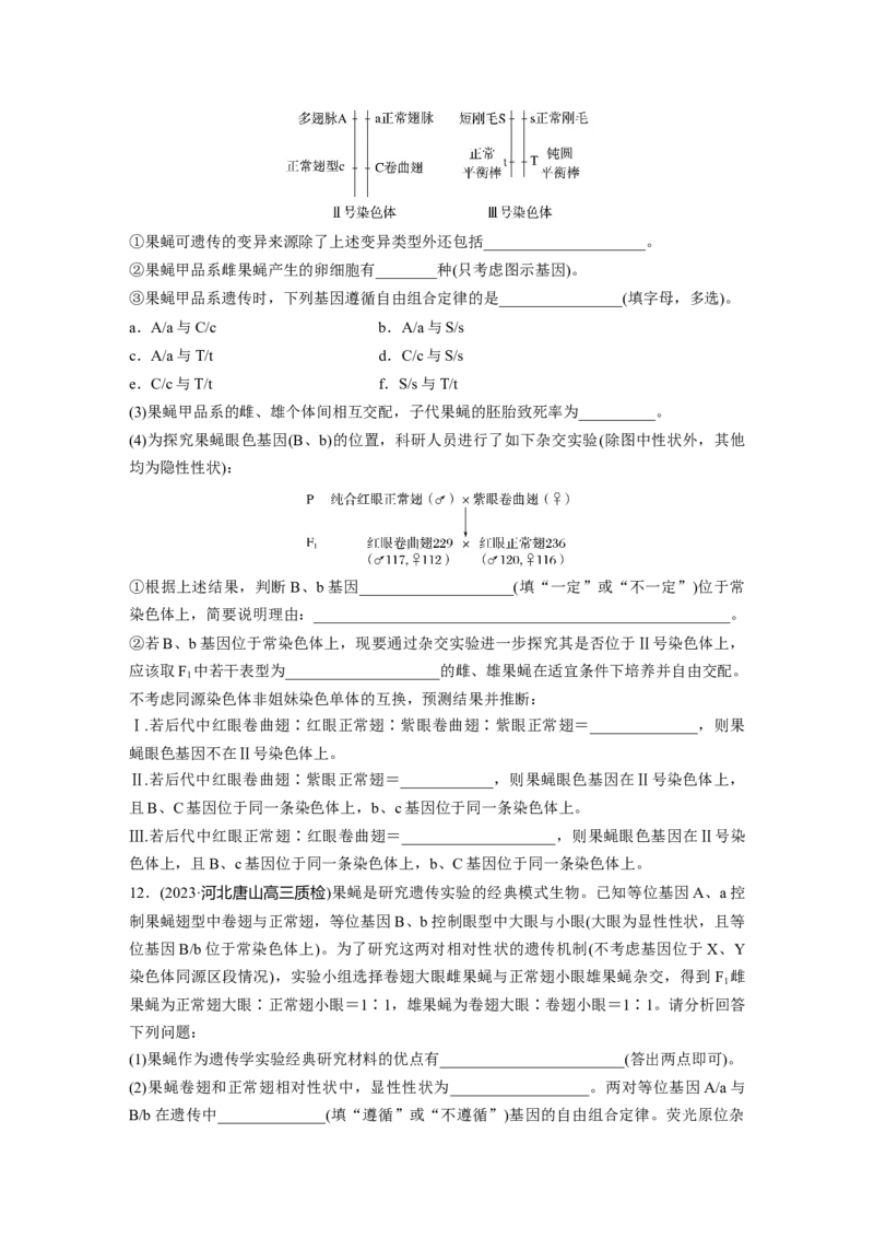 第5单元　课时练7　基因在染色体上的假说与证据_2024年新高考资料_1.2024一轮复习_2024年高考生物一轮复习讲义（新人教版）_学生版在此文件夹_一轮复习69练_第五单元　基因的传递规律