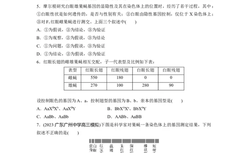 第5单元　课时练7　基因在染色体上的假说与证据_2024年新高考资料_1.2024一轮复习_2024年高考生物一轮复习讲义（新人教版）_学生版在此文件夹_一轮复习69练_第五单元　基因的传递规律