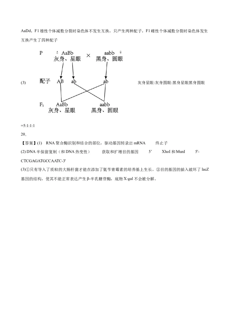 黄金卷01（参考答案）-赢在高考&middot;黄金8卷备战2024年高考生物模拟卷（重庆专用）_2024年新高考资料_4.2024高考模拟预测试卷