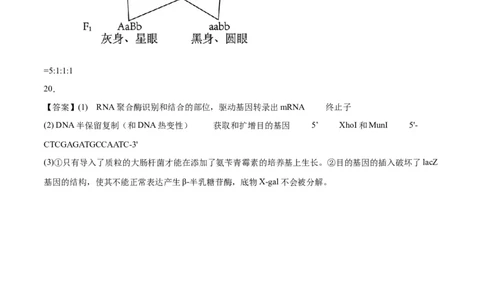 黄金卷01（参考答案）-赢在高考&middot;黄金8卷备战2024年高考生物模拟卷（重庆专用）_2024年新高考资料_4.2024高考模拟预测试卷