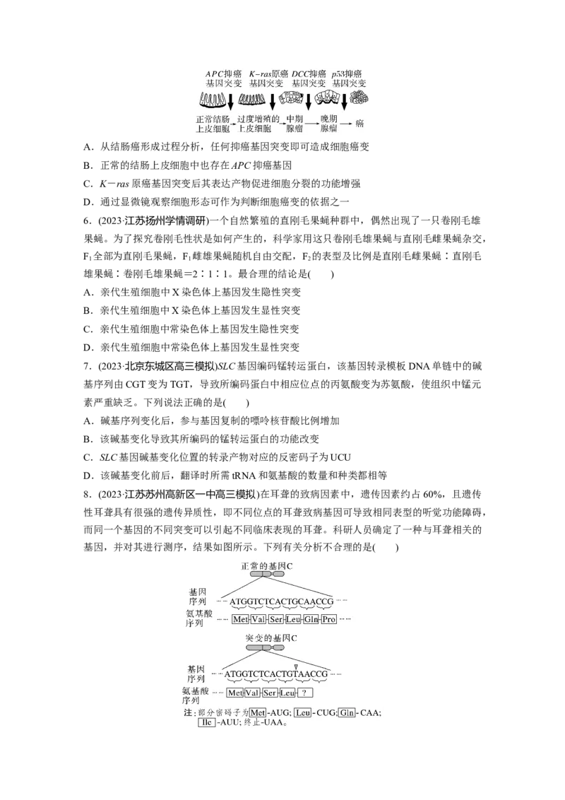 第7单元　课时练1　基因突变与基因重组_2024年新高考资料_1.2024一轮复习_2024年高考生物一轮复习讲义（新人教版）_学生版在此文件夹_一轮复习69练_第七单元　生物的变异和进化