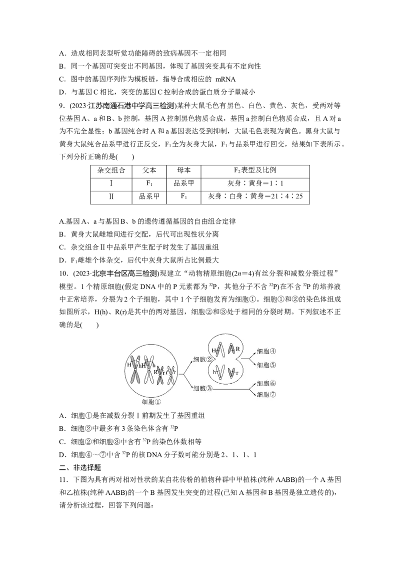 第7单元　课时练1　基因突变与基因重组_2024年新高考资料_1.2024一轮复习_2024年高考生物一轮复习讲义（新人教版）_学生版在此文件夹_一轮复习69练_第七单元　生物的变异和进化