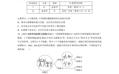 第7单元　课时练1　基因突变与基因重组_2024年新高考资料_1.2024一轮复习_2024年高考生物一轮复习讲义（新人教版）_学生版在此文件夹_一轮复习69练_第七单元　生物的变异和进化