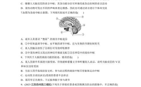第8单元　课时练4　神经系统的分级调节和人脑的高级功能_2024年新高考资料_1.2024一轮复习_2024年高考生物一轮复习讲义（新人教版）_学生版在此文件夹_一轮复习69练