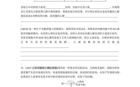 第8单元　课时练4　神经系统的分级调节和人脑的高级功能_2024年新高考资料_1.2024一轮复习_2024年高考生物一轮复习讲义（新人教版）_学生版在此文件夹_一轮复习69练