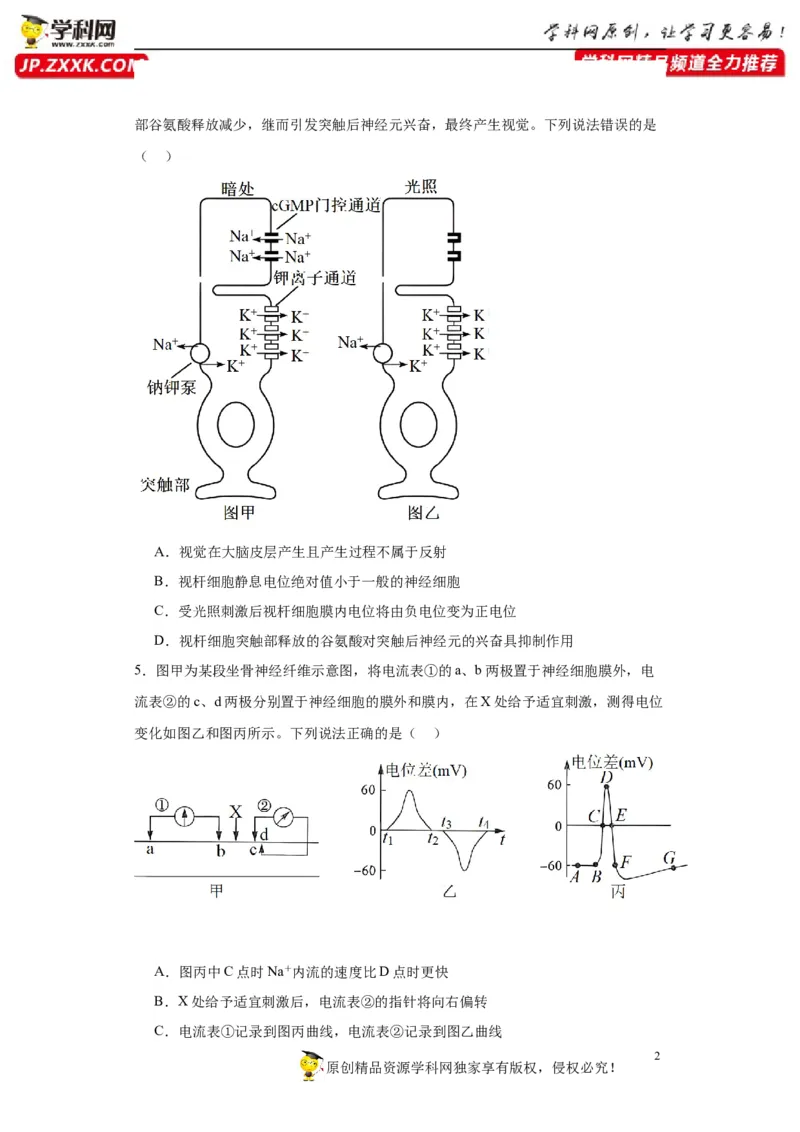 第八单元生命活动的调节（测试卷）（原卷版)_2024年新高考资料_3.2024专项复习_备战2024年高考生物一轮复习重难点专项突破