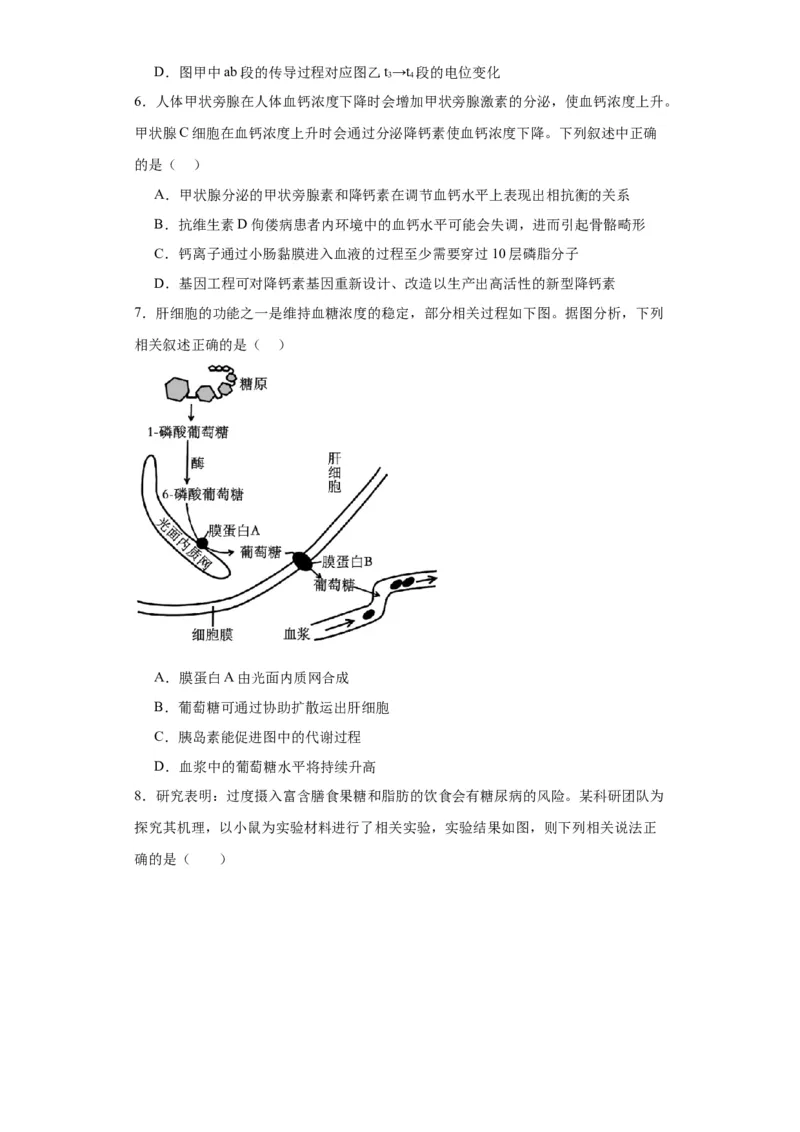 第八单元生命活动的调节（测试卷）（原卷版)_2024年新高考资料_3.2024专项复习_备战2024年高考生物一轮复习重难点专项突破