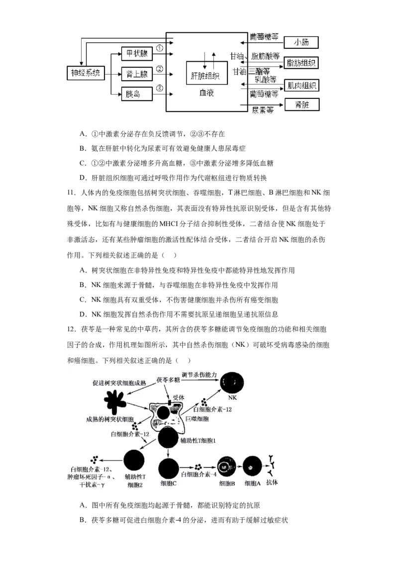 第八单元生命活动的调节（测试卷）（原卷版)_2024年新高考资料_3.2024专项复习_备战2024年高考生物一轮复习重难点专项突破