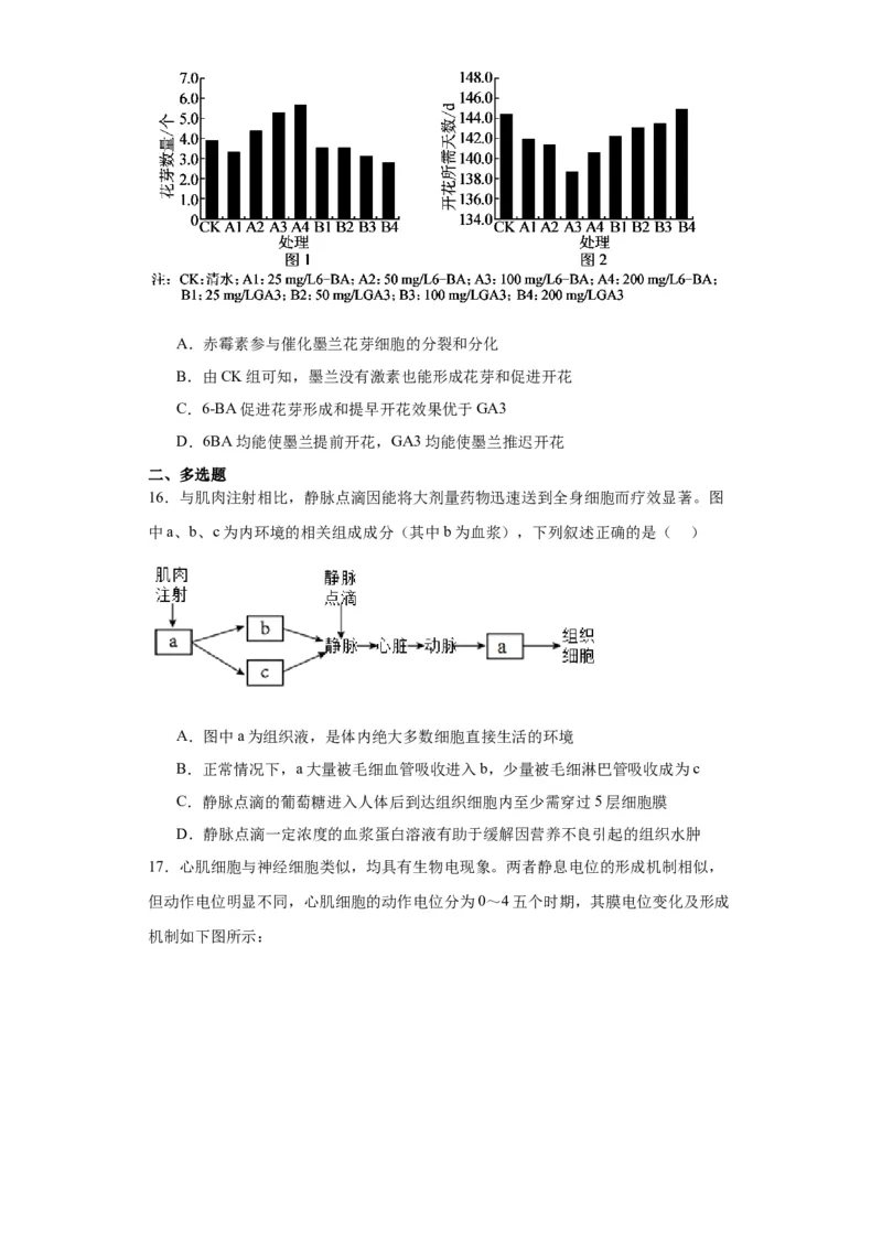 第八单元生命活动的调节（测试卷）（原卷版)_2024年新高考资料_3.2024专项复习_备战2024年高考生物一轮复习重难点专项突破
